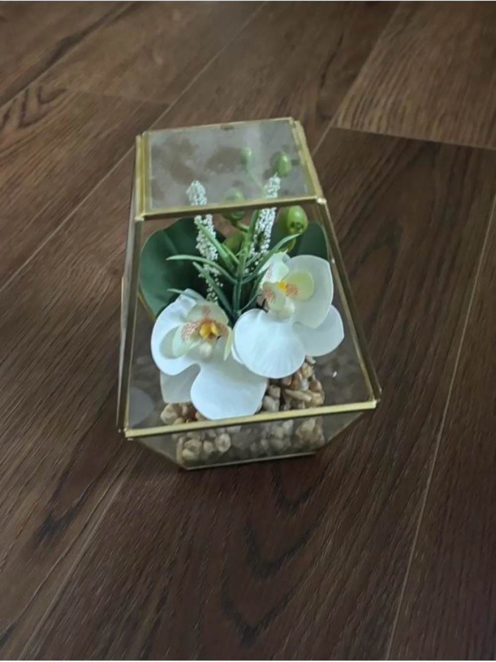 Succulent Decor